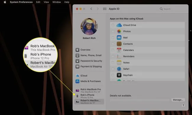 Список устройств на Mac Apple ID Системные настройки выделены
